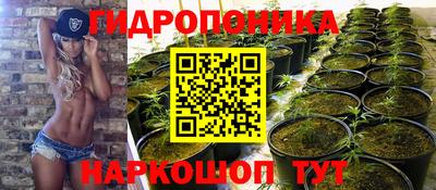 мяу мяу мука Новокубанск
