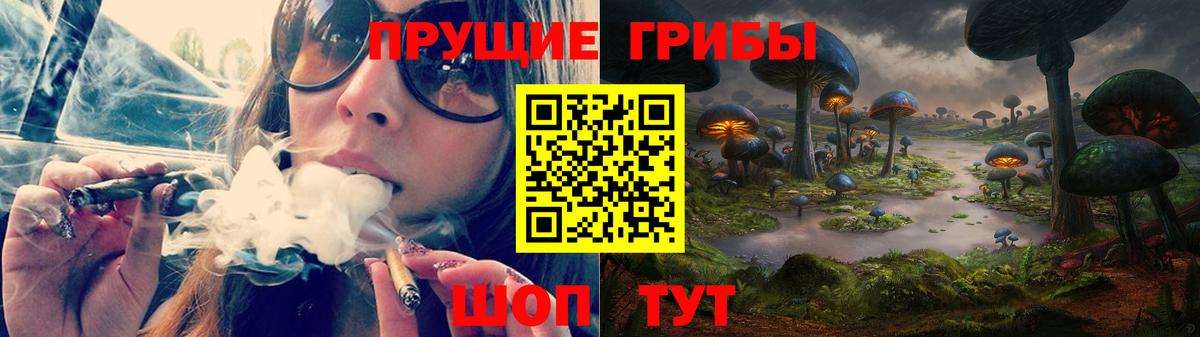 Строитель  Псилоцибиновые грибы MAGIC MUSHROOMS  Псилоцибиновые грибы Psilocybe  Вход с VPN 